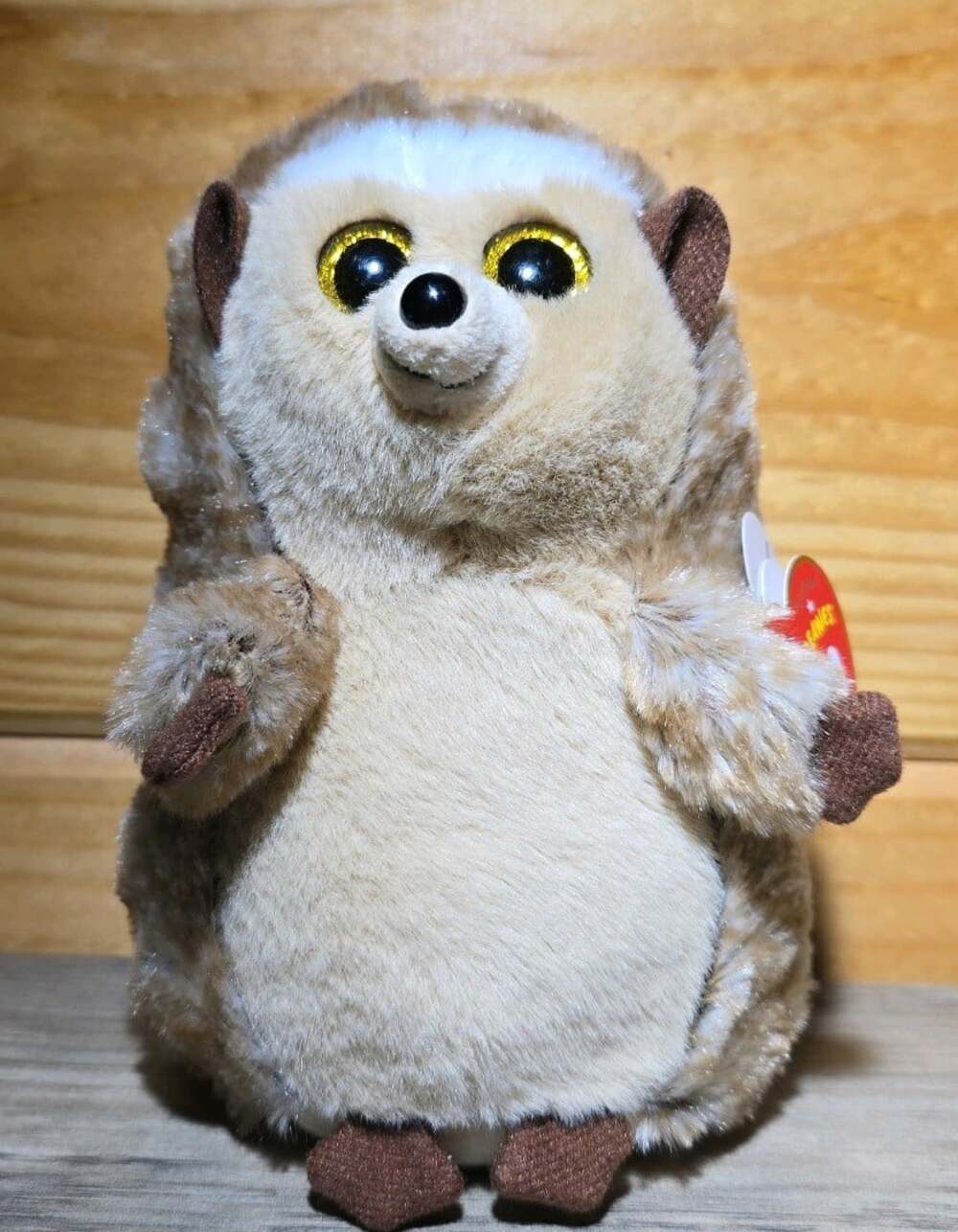 Ty Beanie Baby - IDA the Hedgehog (6 Inch) NEW Plush Stuffed Animal Toy